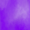 Purple-Grapes-649
